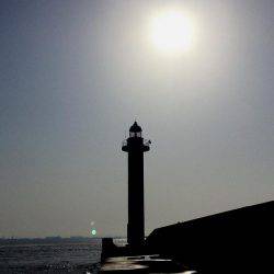 17EXSENCE4000MXG✖EXSENCE S903ML・MH/F ６５ｃｍ